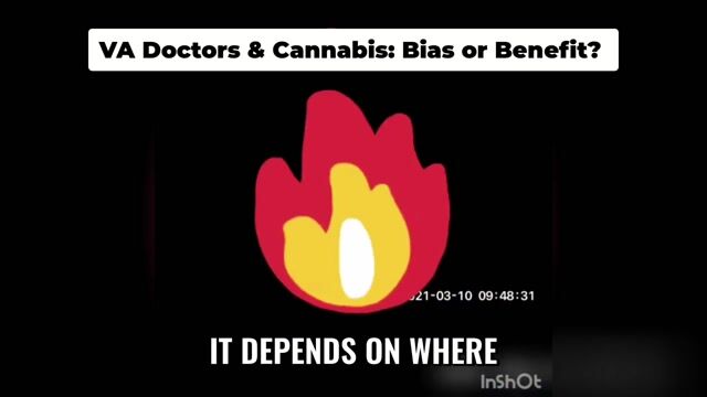Vietnam Vets Cannabis Vs Booze Vas Wild Cannabis Stance