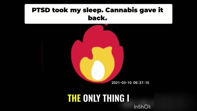 Sleep Deprived Try Weed My Crazy Story