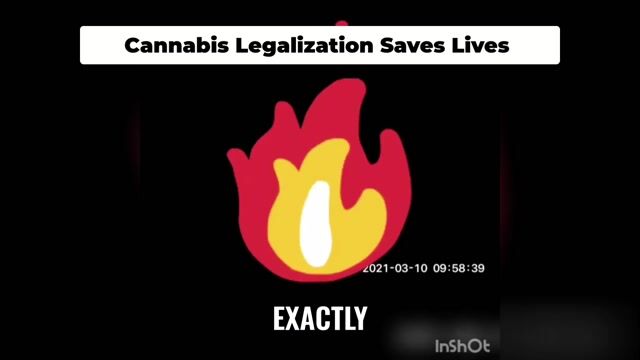 Cannabis Legalization Saves Lives Ends Prohibition