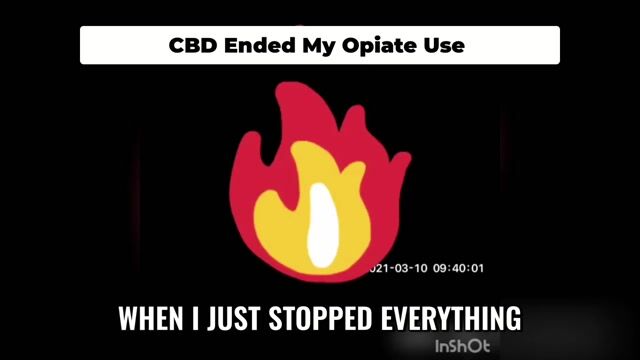Cannabis Saved Me From Opiates My Recovery Story