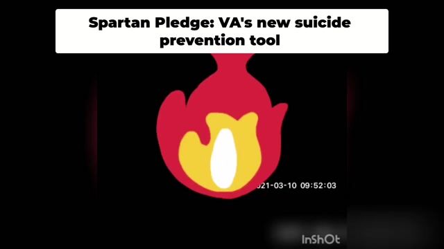 Cannabis Legalization Saves Vets Lives Beyond Big Pharma